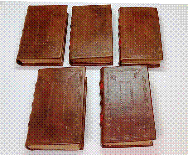 A group of leather books

Description automatically generated