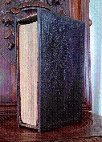 A book on a shelf

Description automatically generated